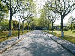 -上海第二工业大学(金海路校区)