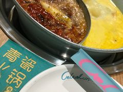 -青瓷火锅料理(西单大悦城店)