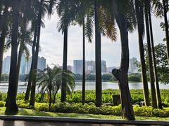 -南宁南湖公园