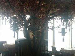 -金轩中餐厅 Jin Xuan(浦东丽思卡尔顿酒店)