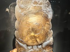 -杭州工艺美术博物馆