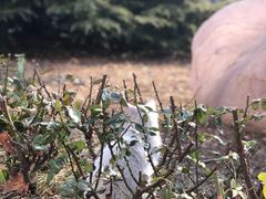 -天津医科大学学生食堂