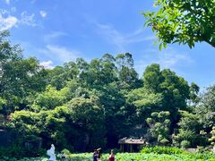 -广州莲花山旅游区