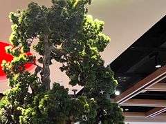 -季季红火锅(长沙步行街店)