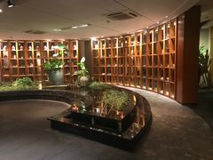 -青藤茶馆(凤起路店)