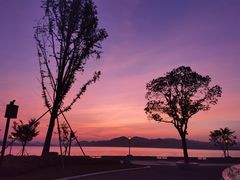 -东钱湖旅游度假区