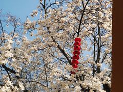 -杭州上天竺法喜讲寺
