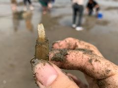 -青岛沙子口国家中心渔港