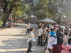 -西双版纳傣族园