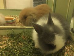 -龙猫仔乐园(惠福东路店)