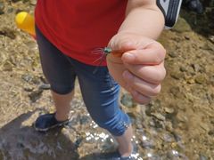 -碓臼峪自然风景区