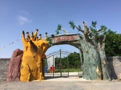  小洋口乐园-小洋口旅游度假区