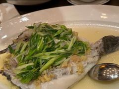 -广州富力君悦大酒店空中花园