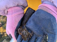 -黑石礁公园