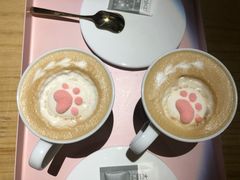 -喵屿·大理花园猫咖