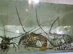 -海盗餐厅
