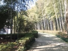 -兰亭风景区