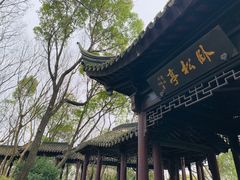 -上海佘山国家森林公园天马山园