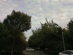 -辽宁大学(崇山校区)
