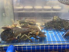 -鲜得莱渔港·小平岛海胆馆(七贤岭店)