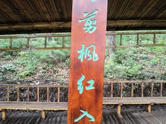 -五女山景区
