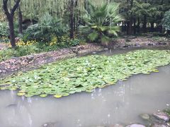 景点-苏州河梦清园环保主题公园