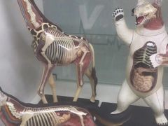 -斯坦星球青少儿编程机器人科学积木拼搭思维专注力科创竞赛规划(武汉凯德西城学习中心)