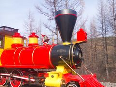 -莫尔道嘎国家森林公园