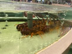 -白金汉爵大酒店(相城店)