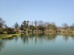 -桤木河湿地公园