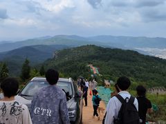 -长虫山生态公园风景林