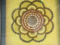 -上海昆虫博物馆