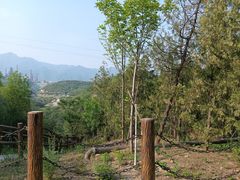 -白水寺森林公园