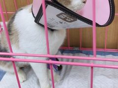-联合动物医院(光谷诊疗中心)