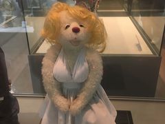 -济州岛泰迪熊博物馆