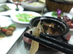 -天福苑(崇宁路店)