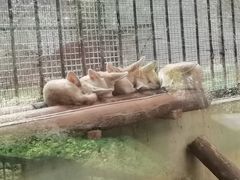 -昆明动物园