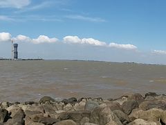 -吴淞炮台湾湿地森林公园烧烤区