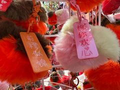 -越秀西湖花市(广州城市广场花卉店)