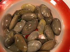 -鲜入围煮花胶鸡海鲜火锅