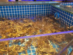 -锅儿欢海鲜火锅烤肉自助餐(东港凯虹店)