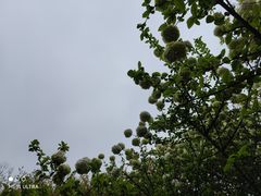 -院士公园