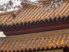 -桃花堤公园