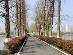 -洋湖国家湿地公园