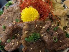 -豊 胜手丼
