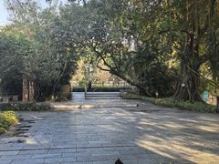 -晓港公园
