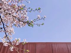 -龙美术馆(西岸馆)