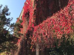 -辽宁大学(崇山校区)