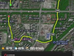 -新江湾城公园