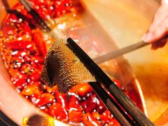 -锅说大脸毛肚重庆老火锅(佐阾店)